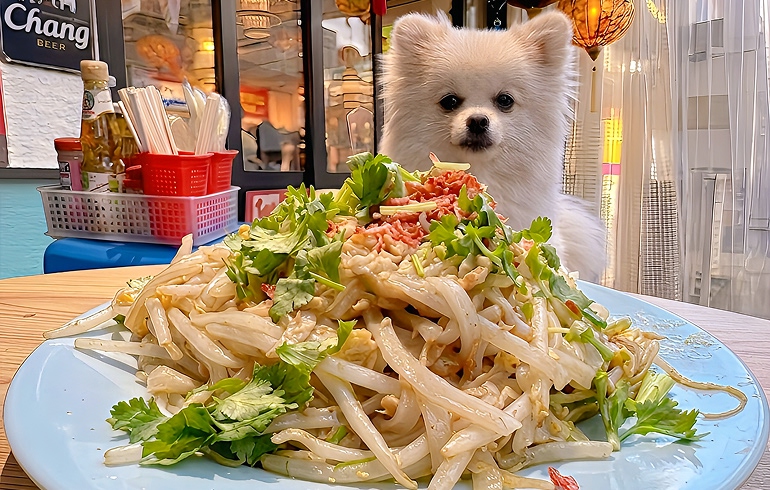 パッタイ