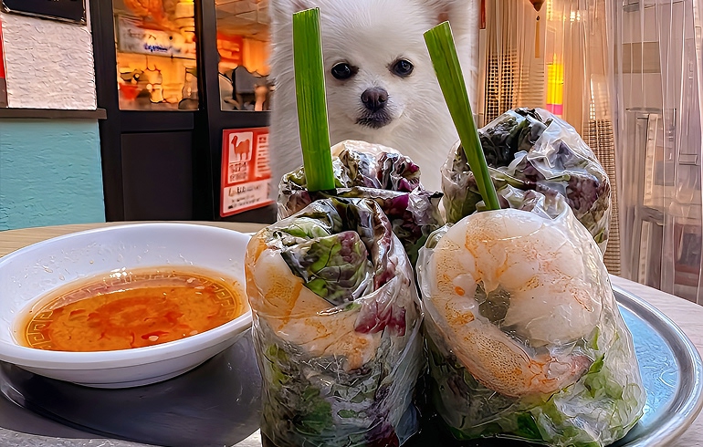 生春巻き