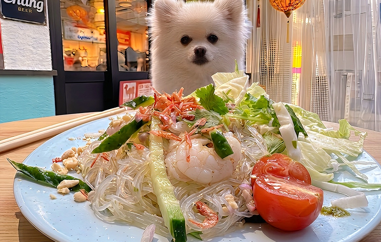 ヤムウンセン