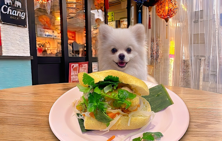 バインミー