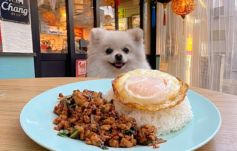 ガパオライス
