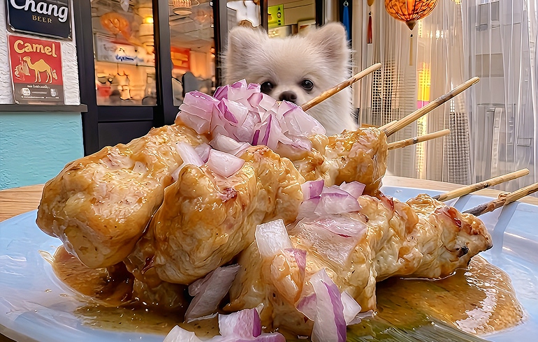 チキンサテー