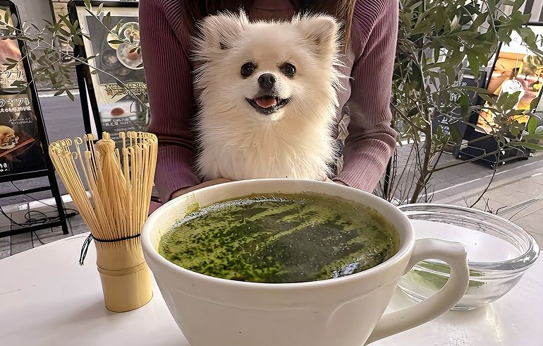 COZZYY COFFEE NEWYORK 恵比寿 抹茶エスプレッソラテ