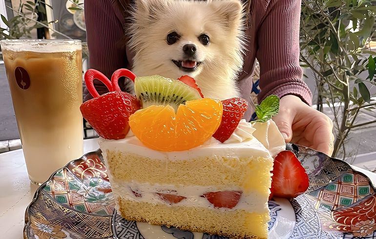 COZZYY COFFEE NEWYORK 恵比寿 季節のフルーツショートケーキ