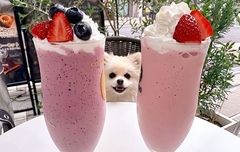 COZZYY COFFEE NEWYORK 恵比寿 シェイブ・ドゥ・フラッペ