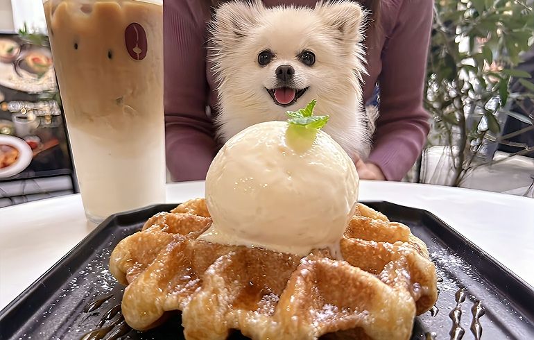 COZZYY COFFEE NEWYORK 恵比寿 バニラキャラメルワッフル