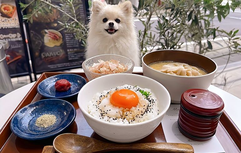 COZZYY COFFEE NEWYORK 恵比寿 モーニングメニュー