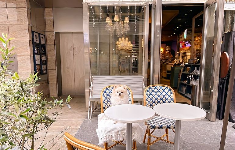 COZZYY COFFEE NEWYORK 恵比寿 テラス席