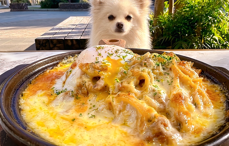 チーズイラプション