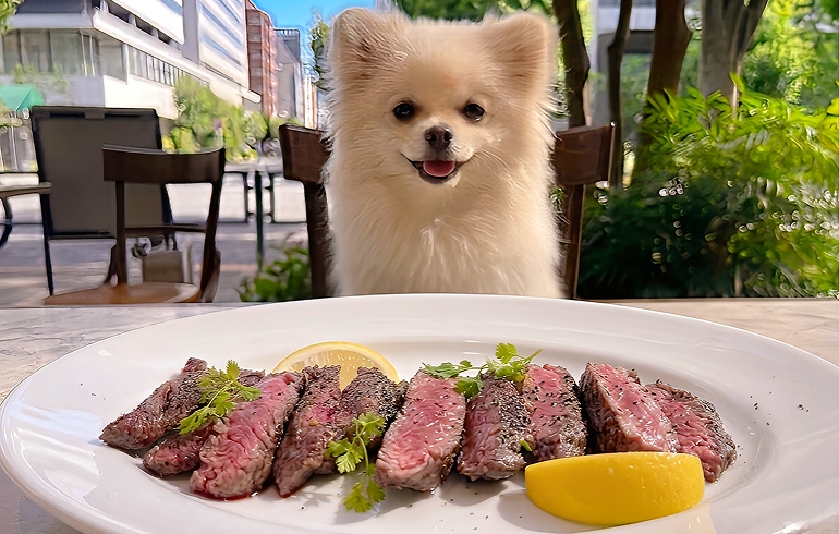 牛ハラミステーキ