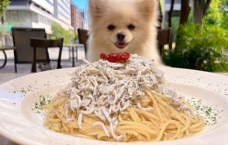 ペペロンチーノ