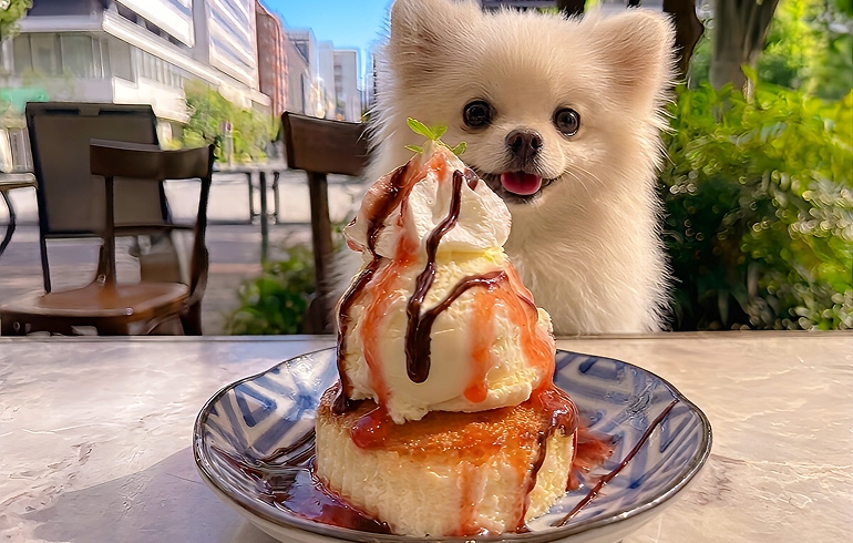 バスクチーズケーキ