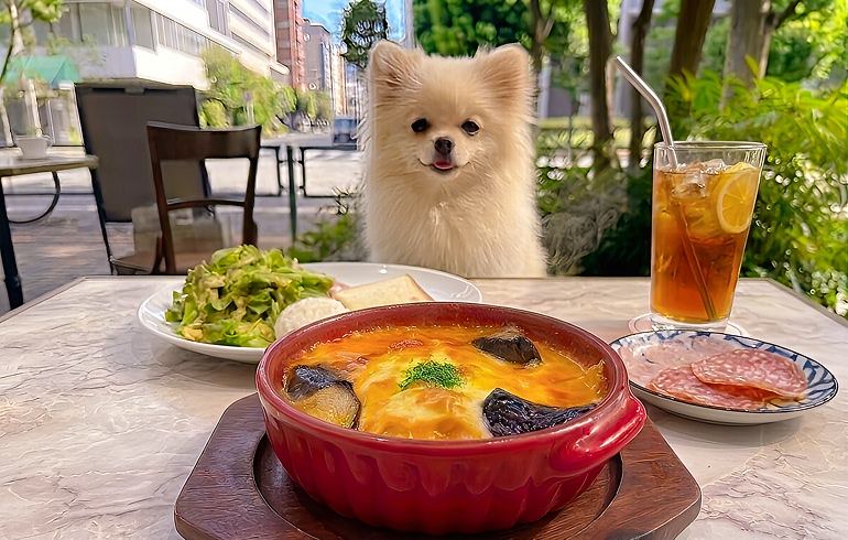 ESOLA立川のお得なランチセット