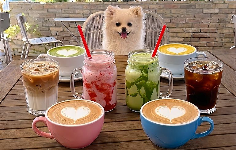 JINNAN CAFE 渋谷 ドリンクメニュー