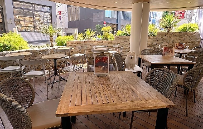 JINNAN CAFE 渋谷 テラス席