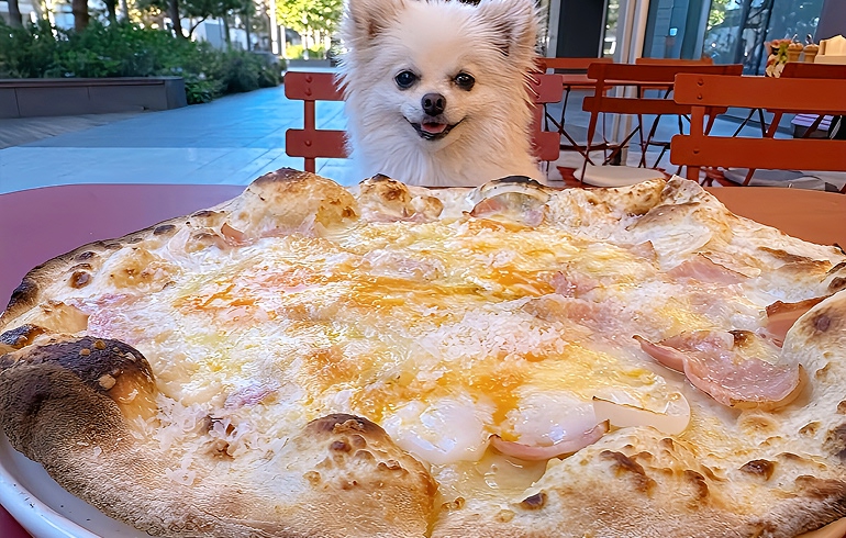 Pizzeria DA BOCCA 豊洲 カルボナーラ