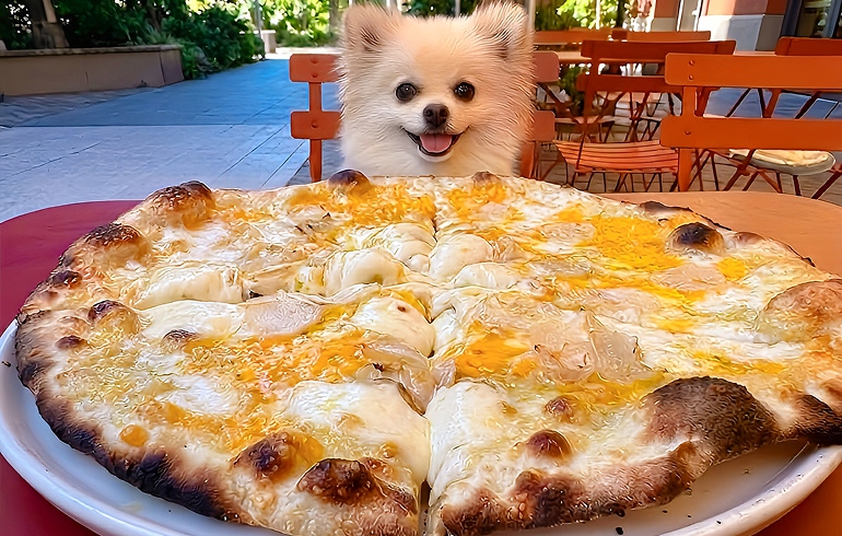 Pizzeria DA BOCCA 豊洲 ダ・ボッカ