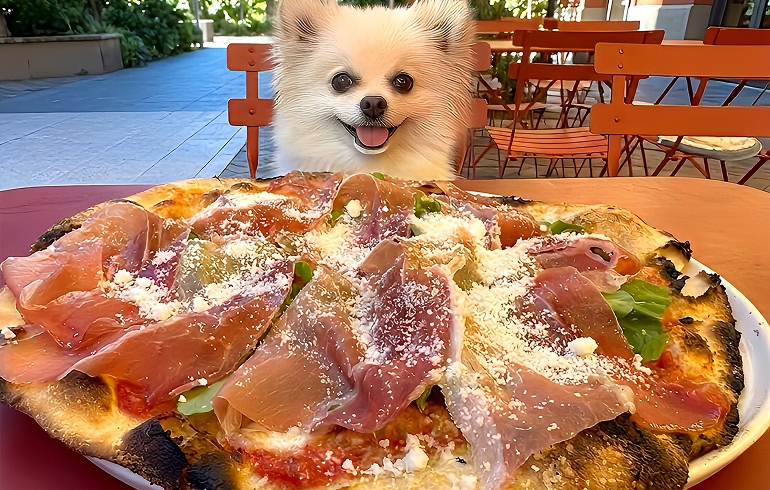 Pizzeria DA BOCCA 豊洲 プロシュット