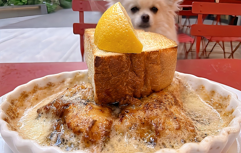 Pizzeria DA BOCCA 豊洲 鶏むね肉の焦がしバター焼き
