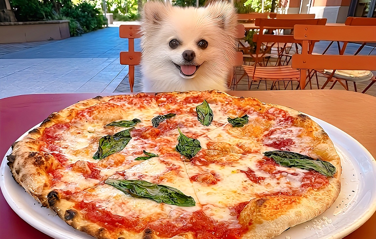 Pizzeria DA BOCCA 豊洲 マルゲリータ