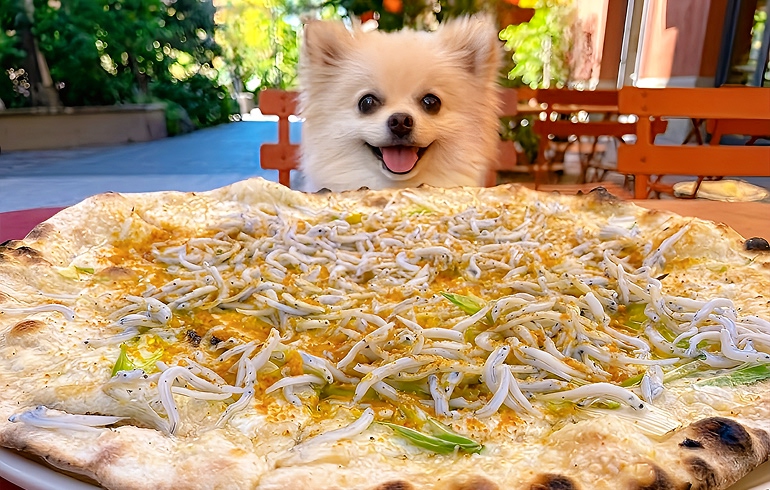 Pizzeria DA BOCCA 豊洲 ボッタルガ
