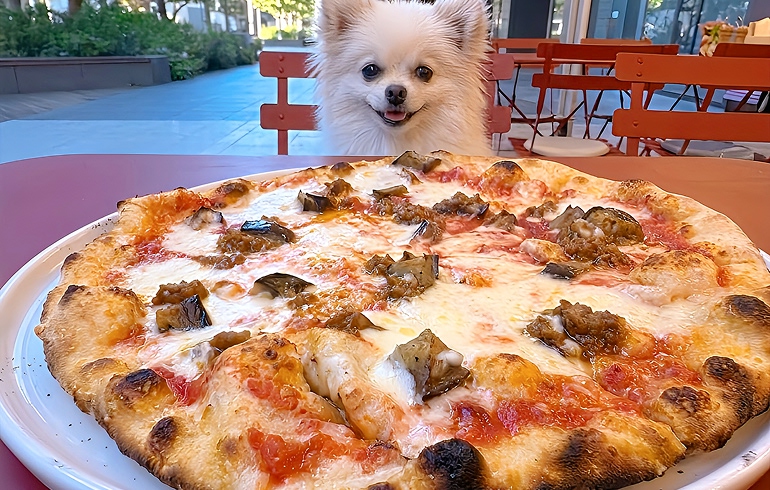Pizzeria DA BOCCA 豊洲 ナポレターナ