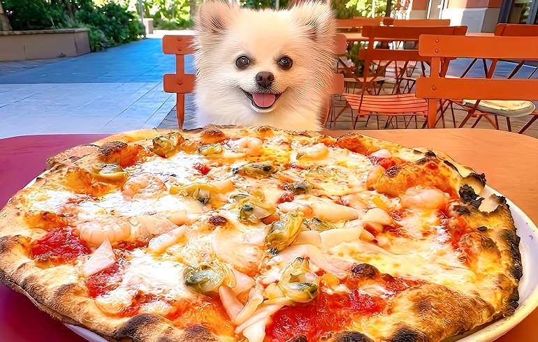 Pizzeria DA BOCCA 豊洲 マーレ