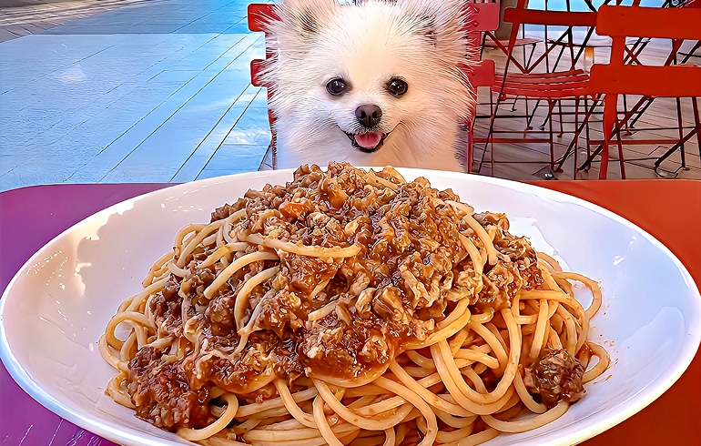 Pizzeria DA BOCCA 豊洲 和牛のミートソース