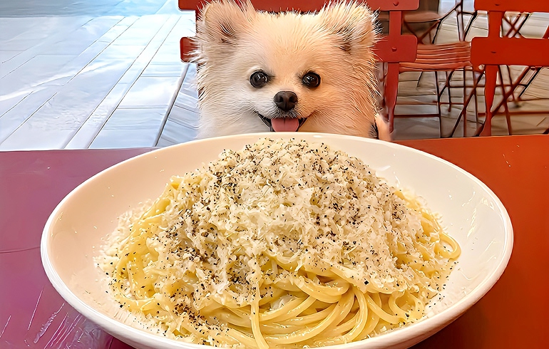 Pizzeria DA BOCCA 豊洲 山盛りチーズと黒コショウ