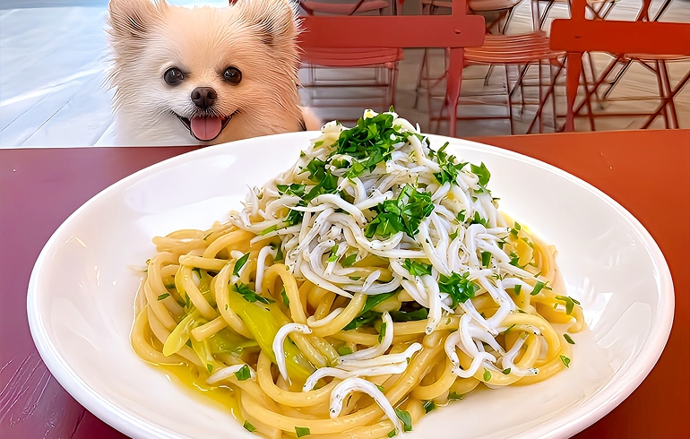 Pizzeria DA BOCCA 豊洲 ペペロンチーノ