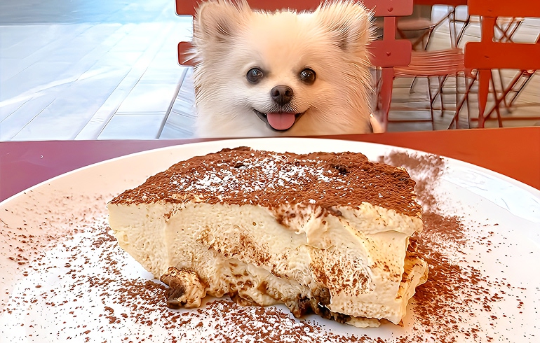 Pizzeria DA BOCCA 豊洲 ティラミス