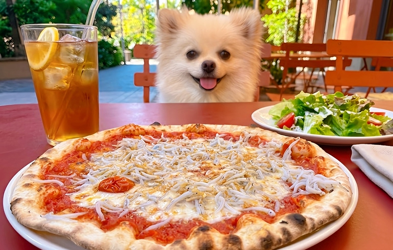 Pizzeria DA BOCCA 豊洲 ランチメニュー