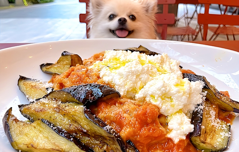 Pizzeria DA BOCCA 豊洲 茄子とリコッタチーズのトマトソース