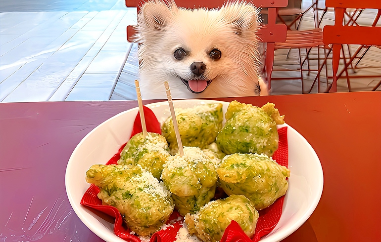 Pizzeria DA BOCCA 豊洲 カリもちゼッポリーニ