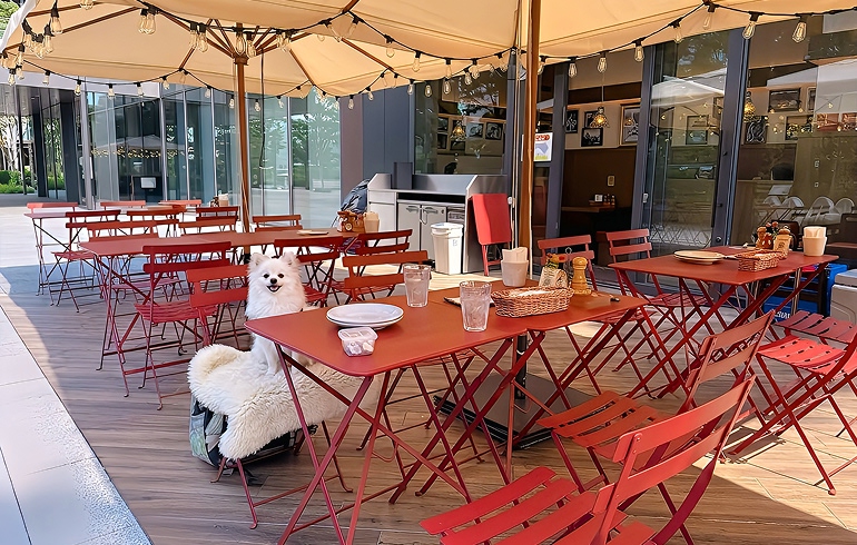 Pizzeria DA BOCCA 豊洲 テラス席