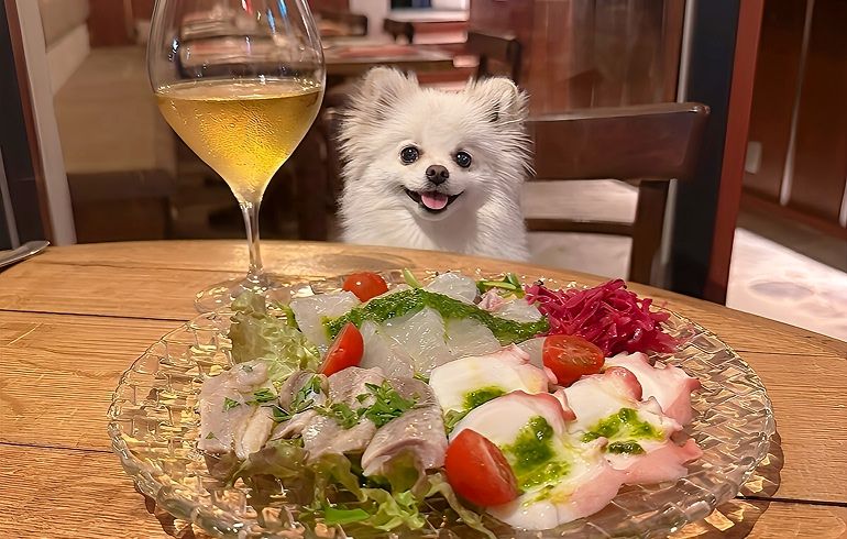 本日の魚介のカルパッチョ盛り合わせ