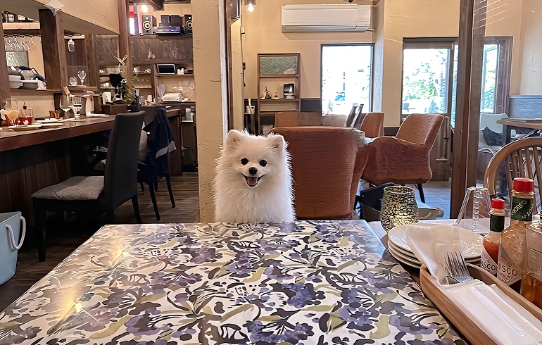 CHICHOS 店内