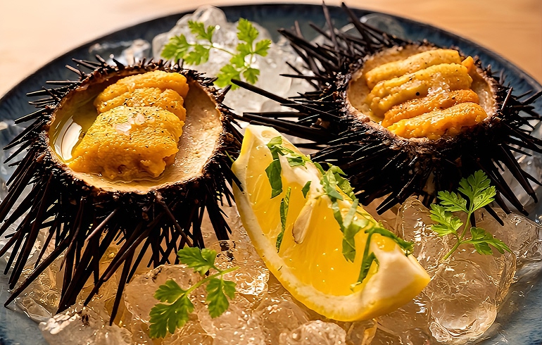 Frutti di Mare 横浜 雲丹プリン