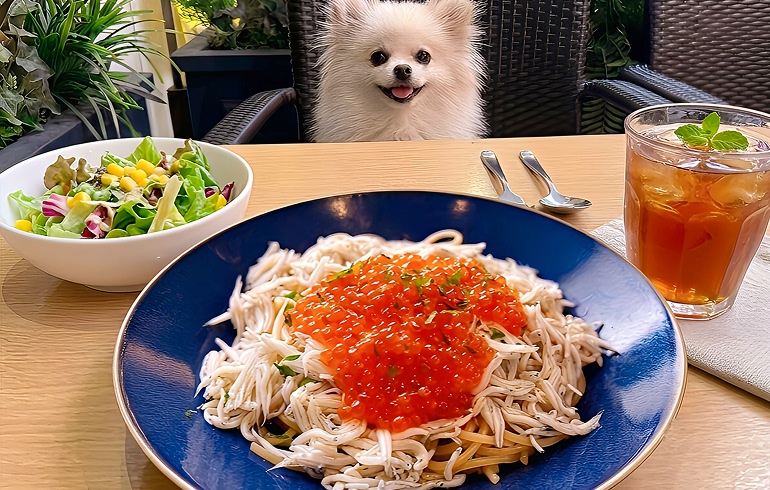 Frutti di Mare 横浜 お得なランチ