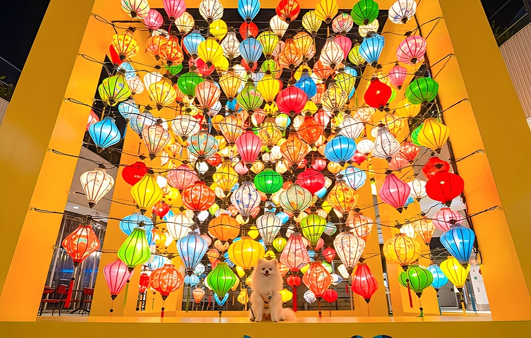 Frutti di Mare 横浜 メイン広場 横浜ランタンナイト