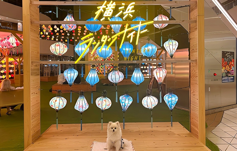 Frutti di Mare 横浜 メイン広場 横浜ランタンナイト