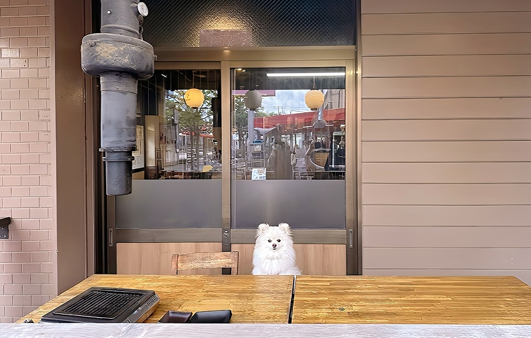 牛龍 南葛西店 テーブル席C