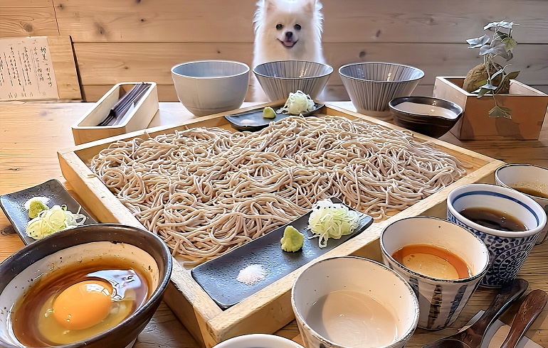 じねんじょ庵 市が尾店 囲み蕎麦