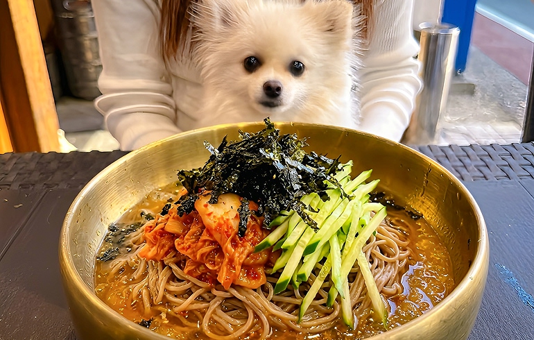 シャリウマ冷麺