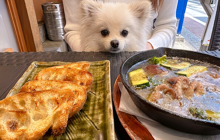 画像 1