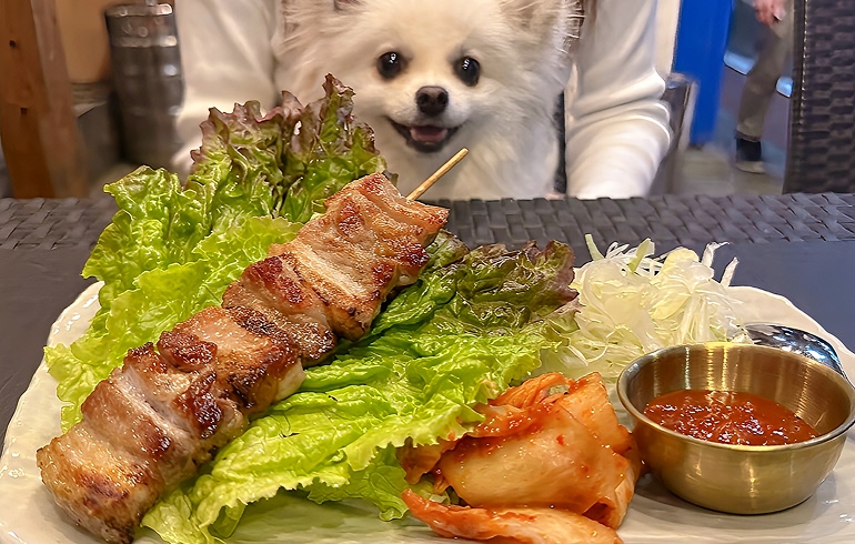 サムギョプサル串