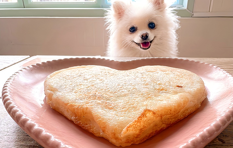 犬用メニュー