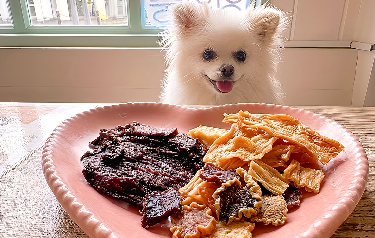 犬用メニュー
