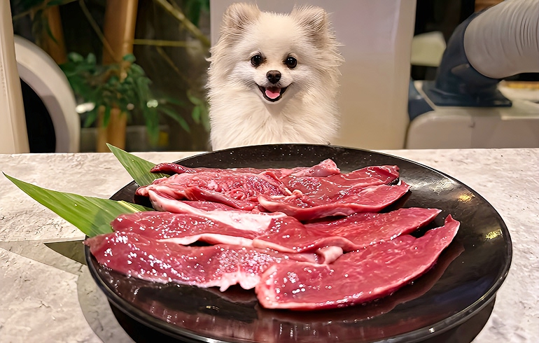TEJI TOKYO テジトウキョウ 犬用メニュー 豚ハツ