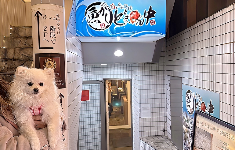 魚がしどまん中 神楽坂店 外観